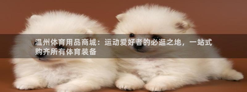 欧陆娱乐测速网站：温州体育用品商城：运动爱好者的必逛