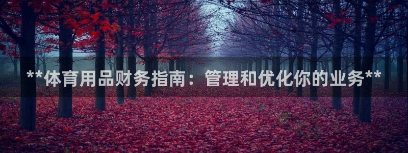 欧陆娱乐稳中：**体育用品财务指南：管理和优化你的业