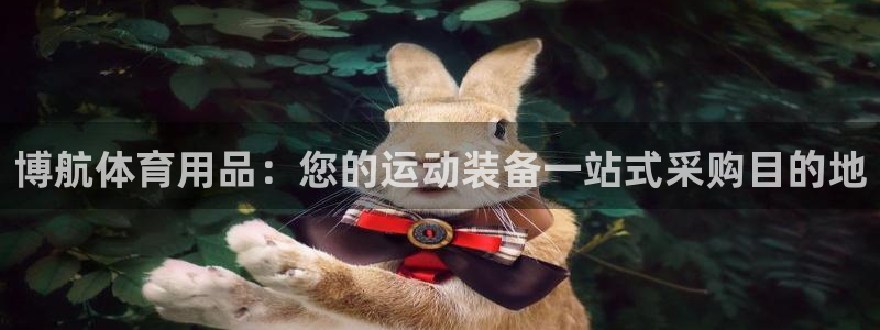 欧陆娱乐公司产品介绍大全