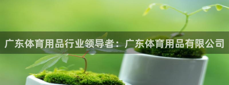 欧陆娱乐平台咋样啊赚钱：广东体育用品行业领导者：广东