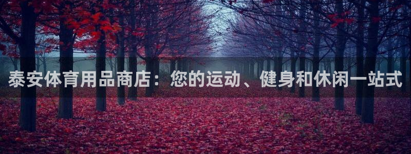 欧陆娱乐登录平台下载：泰安体育用品商店：您的运动、健