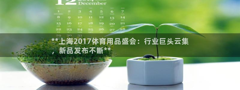 欧陆娱乐有风险吗：**上海2017体育用品盛会：行业