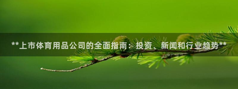 欧陆娱乐测试：**上市体育用品公司的全面指南：投资、