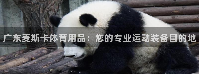 欧陆娱乐是正规平台吗安全吗：广东麦斯卡体育用品：您的