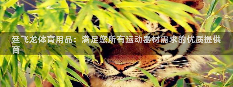 欧陆娱乐登录平台官网：廷飞龙体育用品：满足您所有运动