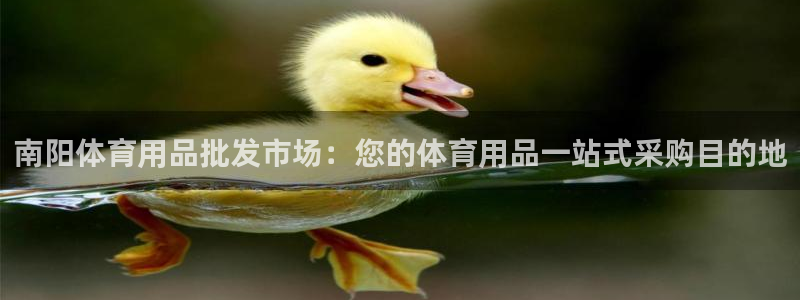 欧陆娱乐客服电话人工服务：南阳体育用品批发市场：您的