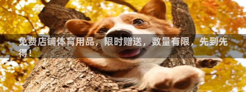 欧陆娱乐平台官网：免费店铺体育用品，限时赠送，数量有