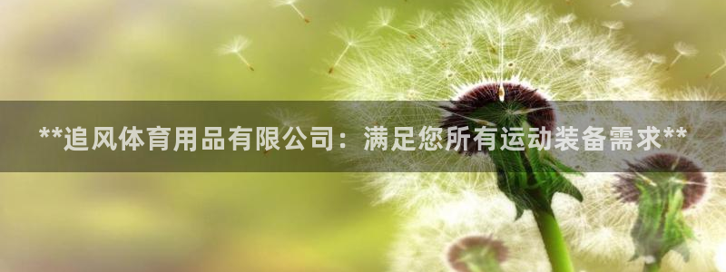 欧陆娱乐注册链接安全吗知乎：**追风体育用品有限公司