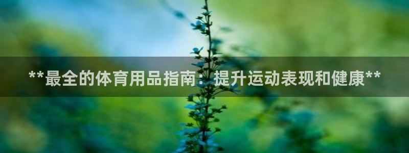 欧陆游戏平台：**最全的体育用品指南：提升运动表现和