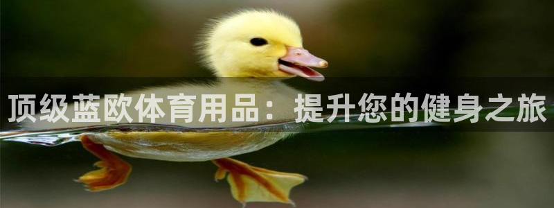 欧陆娱乐：顶级蓝欧体育用品：提升您的健身之旅