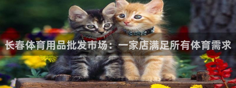 欧陆娱乐平台咋样：长春体育用品批发市场：一家店满足所