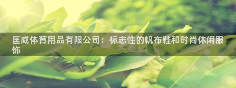 欧陆娱乐官网入口网址：匡威体育用品有限公司：标志性的