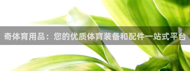 欧陆娱乐官网注册中心：奇体育用品：您的优质体育装备和