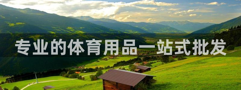 欧陆娱乐app打不开怎么回事儿：专业的体育用品一站式