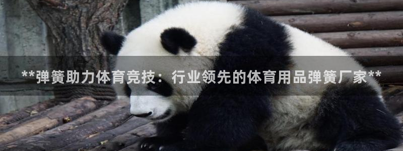 欧陆娱乐挂机项目：**弹簧助力体育竞技：行业领先的体