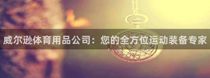 欧陆娱乐系统教程：威尔逊体育用品公司：您的全方位运动