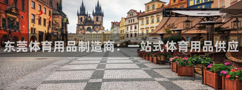 欧陆娱乐代理多少个点位合适：东莞体育用品制造商：一站