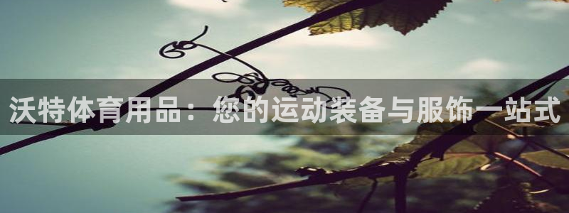 欧陆娱乐安全?：沃特体育用品：您的运动装备与服饰一站