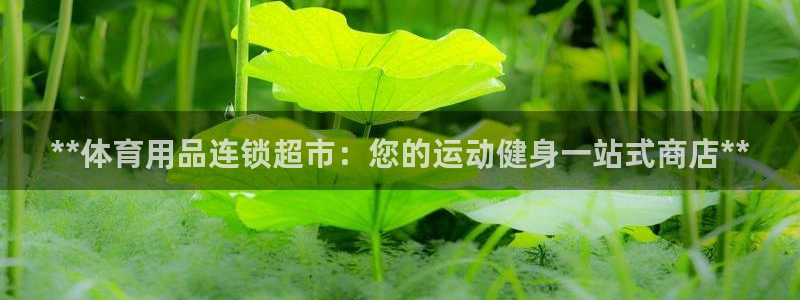 欧陆娱乐官网注册中心下载：**体育用品连锁超市：您的