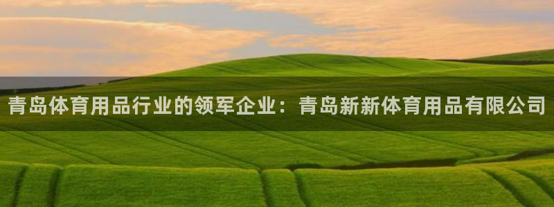 欧陆娱乐百科：青岛体育用品行业的领军企业：青岛新新体