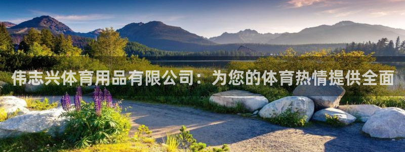 欧陆娱乐平台登陆地址在哪里：伟志兴体育用品有限公司：