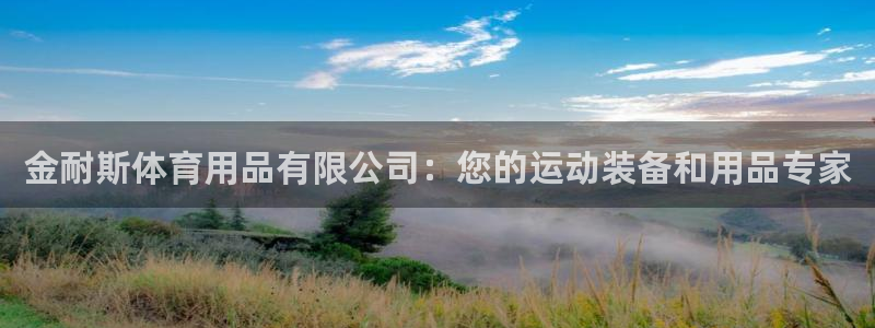 欧陆娱乐app下载：金耐斯体育用品有限公司：您的运动