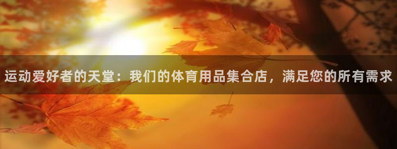 欧陆娱乐登陆官网：运动爱好者的天堂：我们的体育用品集
