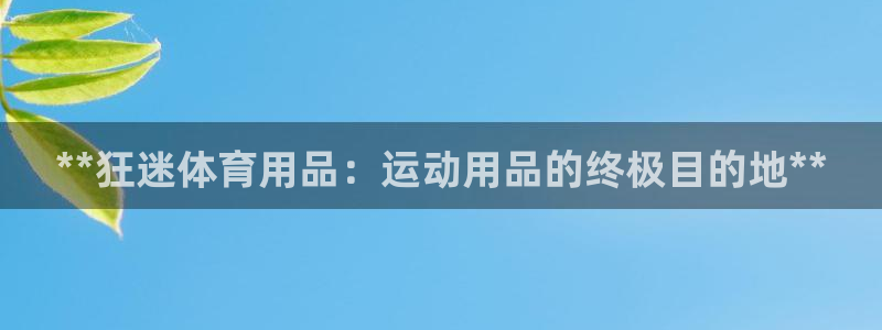 欧陆娱乐欧陆主管：**狂迷体育用品：运动用品的终极目