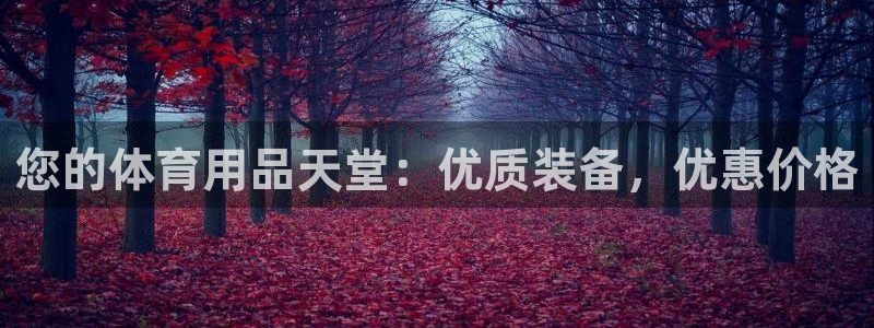 欧陆娱乐代理 贴吧官网：您的体育用品天堂：优质装备，