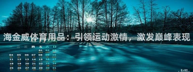 欧陆娱乐官网注册中心：海金威体育用品：引领运动激情，