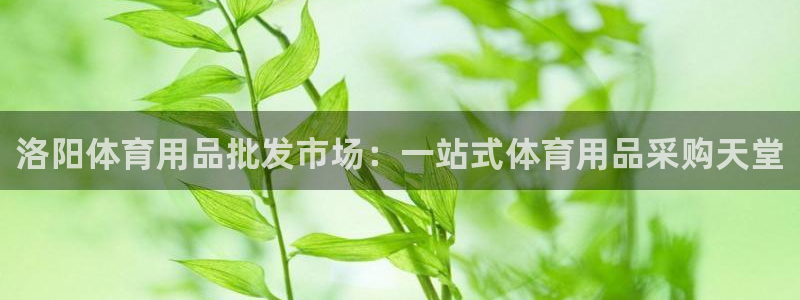 欧陆娱乐注册代理：洛阳体育用品批发市场：一站式体育用
