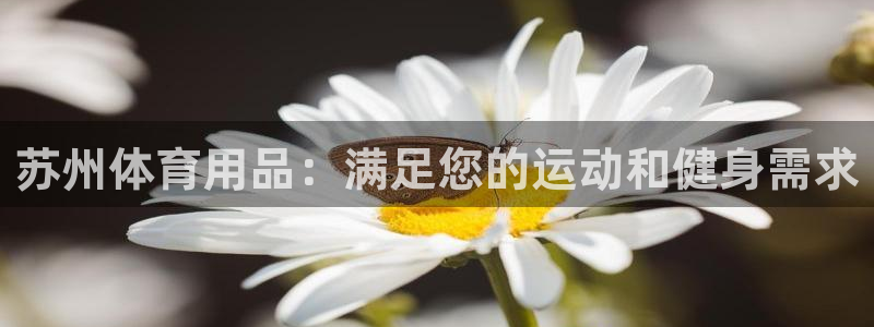 欧陆娱乐公司产品介绍图片：苏州体育用品：满足您的运动
