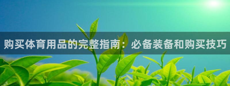 欧陆娱乐登录官网下载：购买体育用品的完整指南：必备装