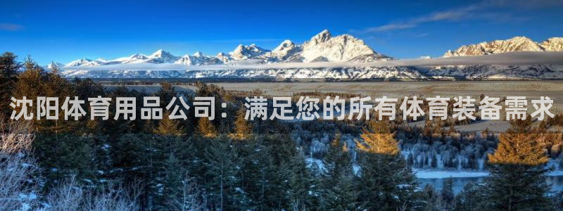 欧陆娱乐官网下载安装最新版本：沈阳体育用品公司：满足