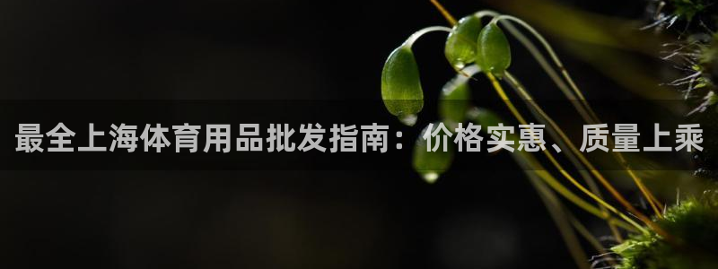 欧陆娱乐是资金盘吗：最全上海体育用品批发指南：价格实