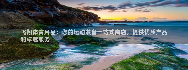 欧陆注册登录入口：飞翔体育用品：您的运动装备一站式商