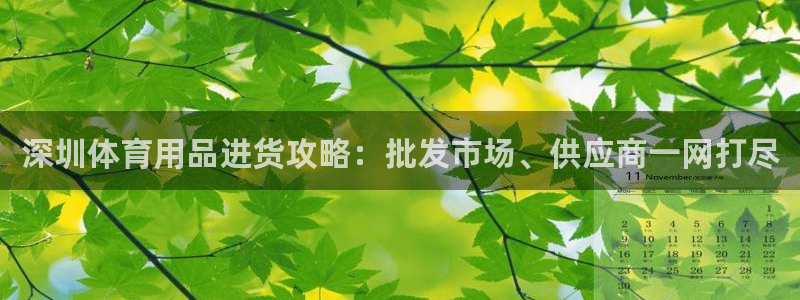 欧陆娱乐线路测速：深圳体育用品进货攻略：批发市场、供