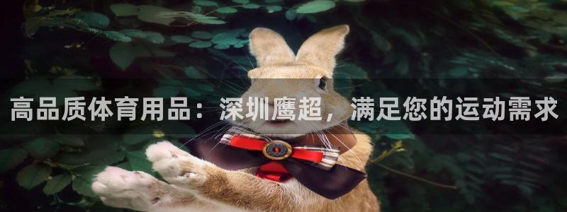 欧陆娱乐是真的假的：高品质体育用品：深圳鹰超，满足您