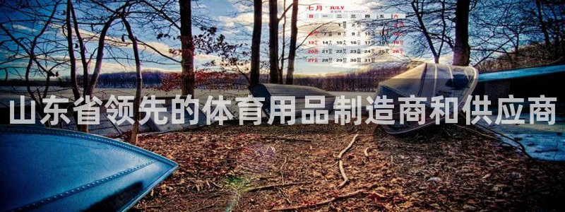 欧陆娱乐官网注册中心下载：山东省领先的体育用品制造商