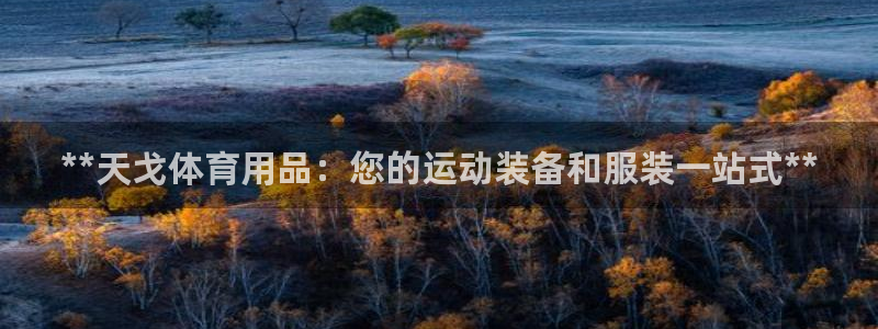 欧陆娱乐测试网站：**天戈体育用品：您的运动装备和服