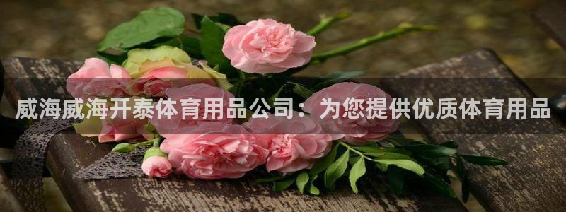 欧陆娱乐平台总代理：威海威海开泰体育用品公司：为您提