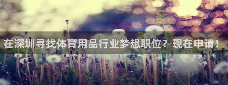 欧陆娱乐能赚钱吗：在深圳寻找体育用品行业梦想职位？现