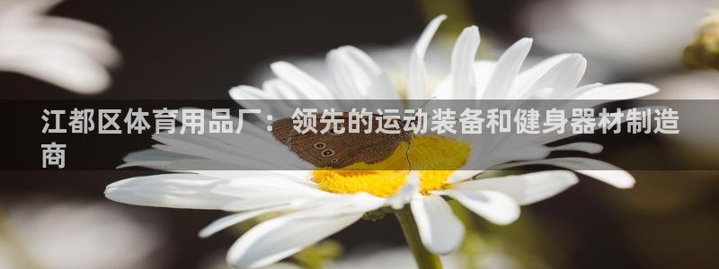 欧陆娱乐平台官网下载：江都区体育用品厂：领先的运动装