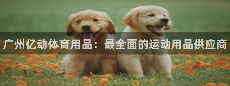 欧陆娱乐注册链接安全吗可靠吗：广州亿动体育用品：最全