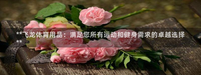 欧陆娱乐讲7O777：**飞龙体育用品：满足您所有运