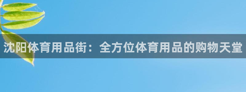 欧陆娱乐平台登录：沈阳体育用品街：全方位体育用品的购
