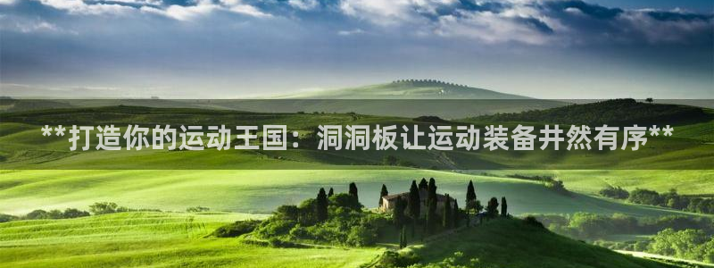 欧陆娱乐代理 贴吧：**打造你的运动王国：洞洞板让运
