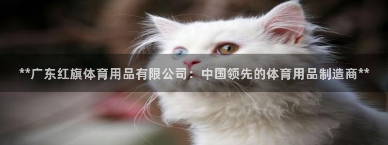 欧陆娱乐测速软件下载：**广东红旗体育用品有限公司：