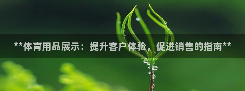 欧陆注册码：**体育用品展示：提升客户体验，促进销售