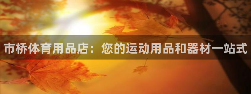 欧陆娱乐平台总代理：市桥体育用品店：您的运动用品和器